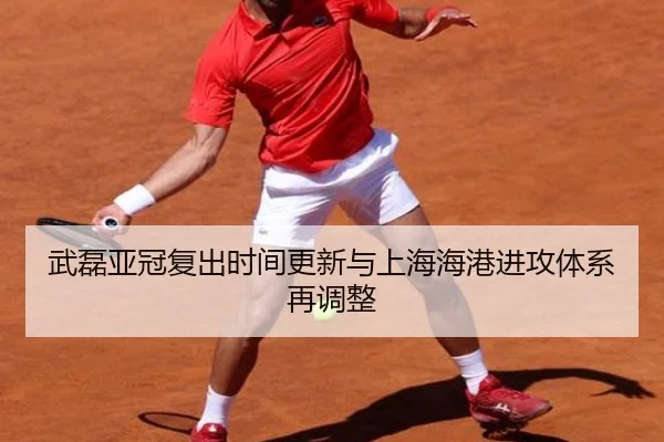 武磊亚冠复出时间更新与上海海港进攻体系再调整（MILANSPORT）